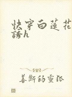 快穿白莲花的引诱h
