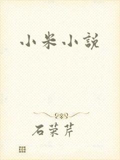 小米小说