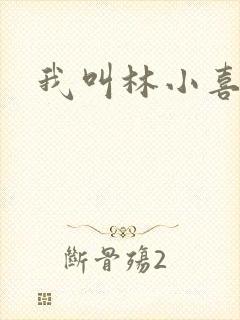 我叫林小喜17