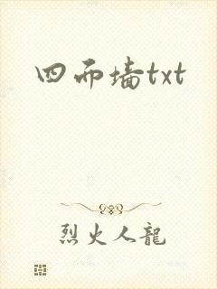 四面墙txt封面