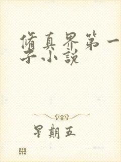 修真界第一病秧子小说