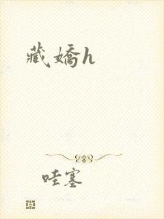 藏娇h封面