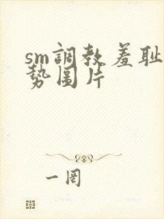 sm调教羞耻姿势图片封面