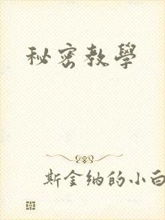 秘密教学
