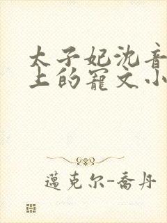 太子妃沈音和皇上的宠文小说