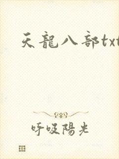 天龙八部txt