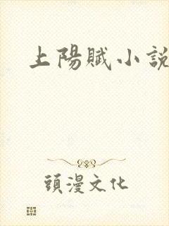 上阳赋小说