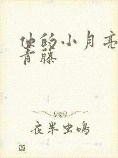 他的小月亮by青藤封面