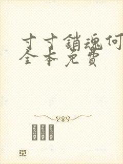 寸寸销魂何生祥全本免费封面