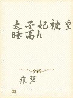 太子妃被皇上强睡高h封面