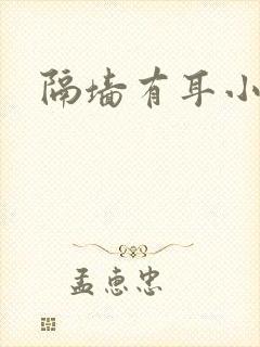 隔墙有耳小说