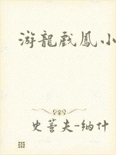 游龙戏凤小说