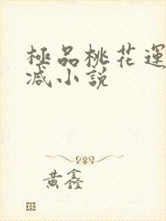 极品桃花运未删减小说封面