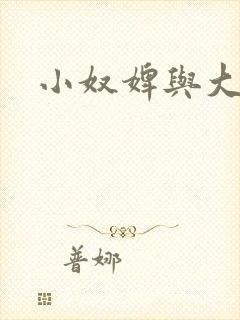 小奴婢与大少爷