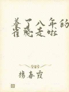 养了八年的金丝雀飞走啦
