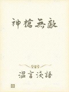 神枪无敌封面