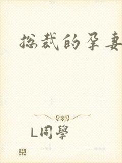 总裁的孕妻