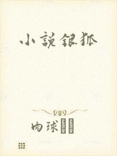 小说银狐