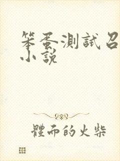 笨蛋测试召唤兽小说