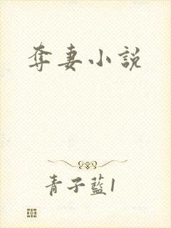 夺妻小说