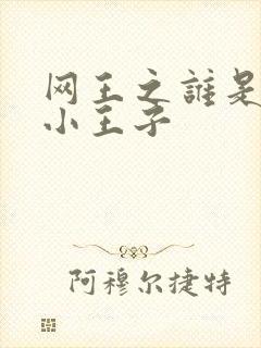网王之谁是我的小王子封面
