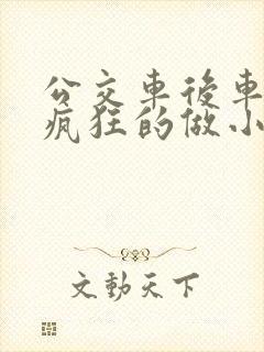 公交车后车座的疯狂的做小