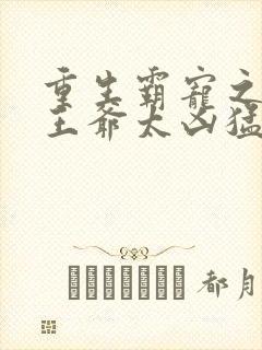 重生霸宠之摄政王爷太凶猛