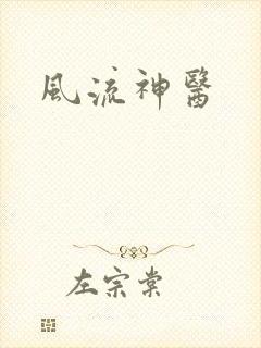 风流神医封面