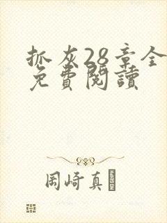 抓灰28章全部免费阅读封面