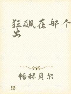 狂飙在哪个台播出