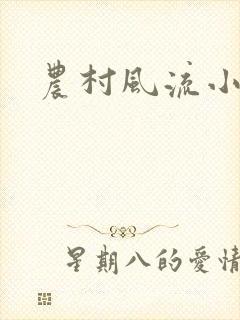 农村风流小说