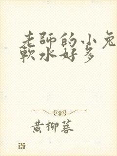 老师的小兔子好软水好多