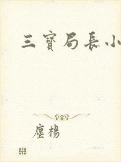 三宝局长小说