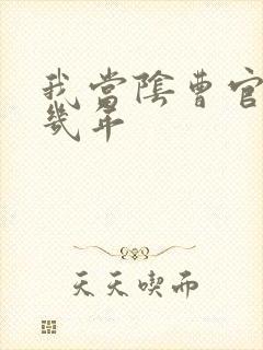 我当阴曹官的那几年封面