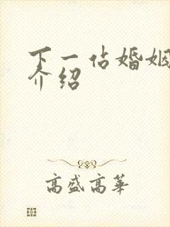 下一站婚姻剧情介绍封面