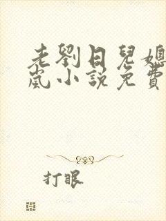 老刘日儿媳妇张岚小说免费阅读