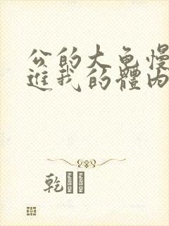 公的大龟慢慢挺进我的体内