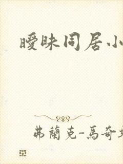 暧昧同居小说