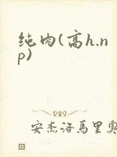 纯肉(高h.np)