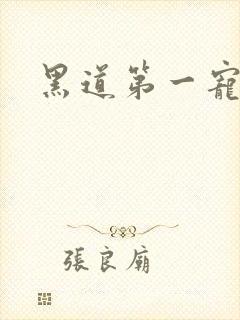 黑道第一宠婚封面