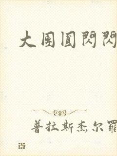 大团圆闪闪发光