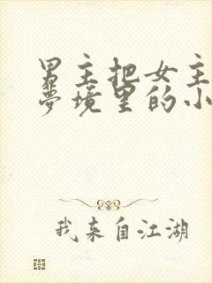 男主把女主拖进梦境里的小说