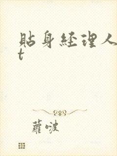 贴身经理人txt