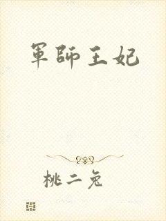军师王妃