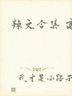 辣文合集 高h封面