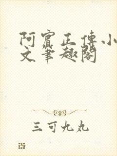 阿宾正传小说全文笔趣阁