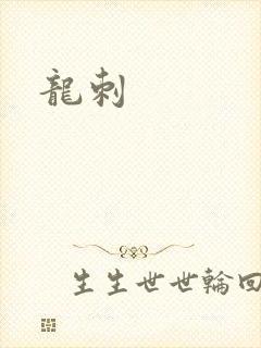 龙刺封面