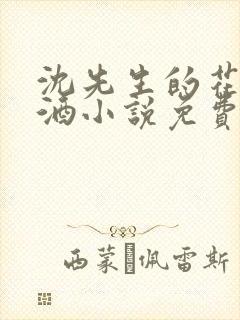 沈先生的花式调酒小说免费阅读封面