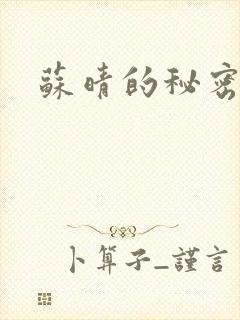 苏晴的秘密小说