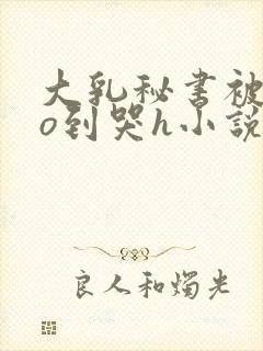 大乳秘书被cao到哭h小说